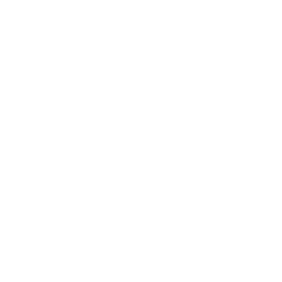 ポイント5